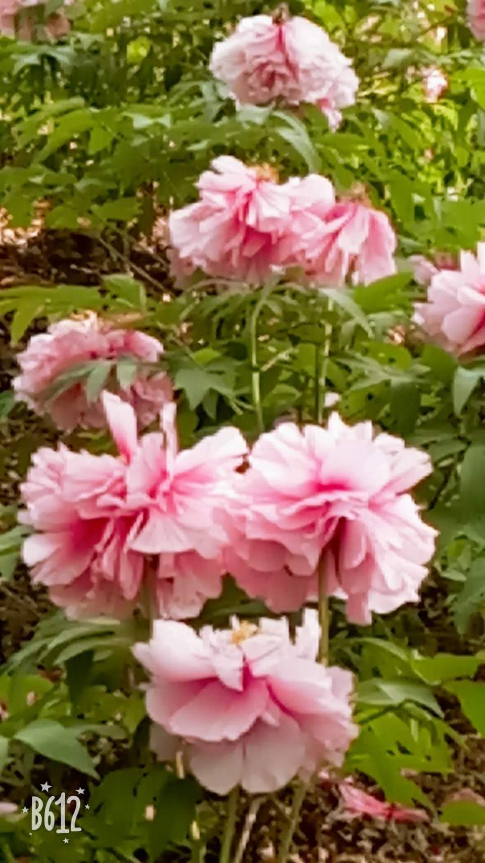 qmsC9ssbNaaBVNJlv7uc0s4Is3qAGitmzv_xQHb5IYD1Af8yjgZdiTbd7BC7mKE4