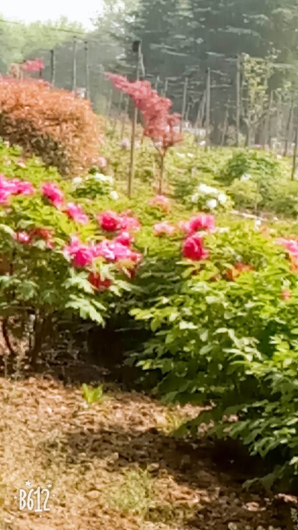 TVTI4V_f1H6ehw0M00V1QqkxyYo8zlNLf6qWWvahqeo_rf7i60wrjpiKBIKN7492