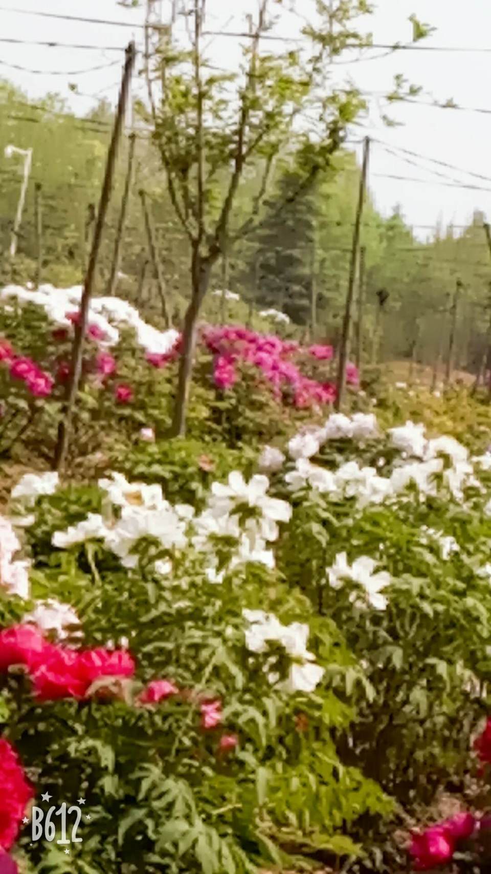 BiPVXYaaGtAGnN1f3QqNgV8MdT9PoJYn-gZ-KVOLMn-zWkQ7lT30RF2e5enq6kaw