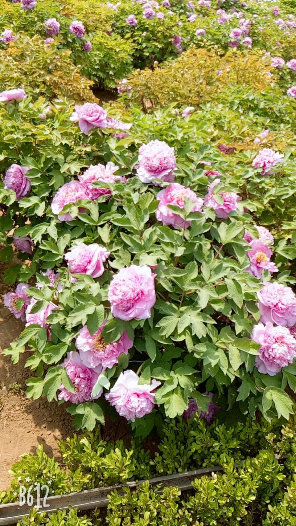 JVh1SF9eJM4KkQM1YVfN9M9iLRX0kdOInhSXa5muzbNM1RmsrQv-dqGrYem_rb1q