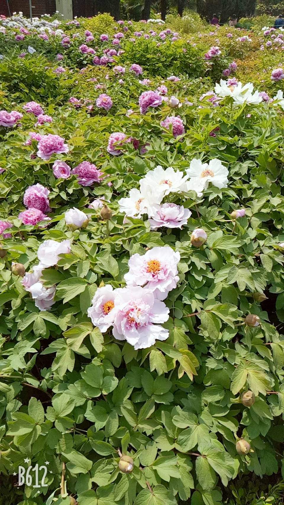 Z2wOC4_1JS2Sw-M2cXHmHvcdbM816DJwG9DrOxvwkqxELjXUGPH2t0CwBprGLtQh