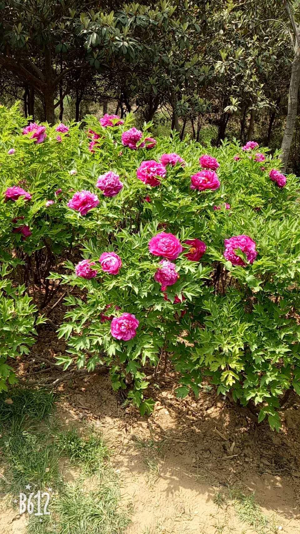 qr_BBpWF_ZPZ06jTPMMHzL1UHJC6YOgGLi8VPi1-WEOq00luEfUDGTE5HMtdPbbM