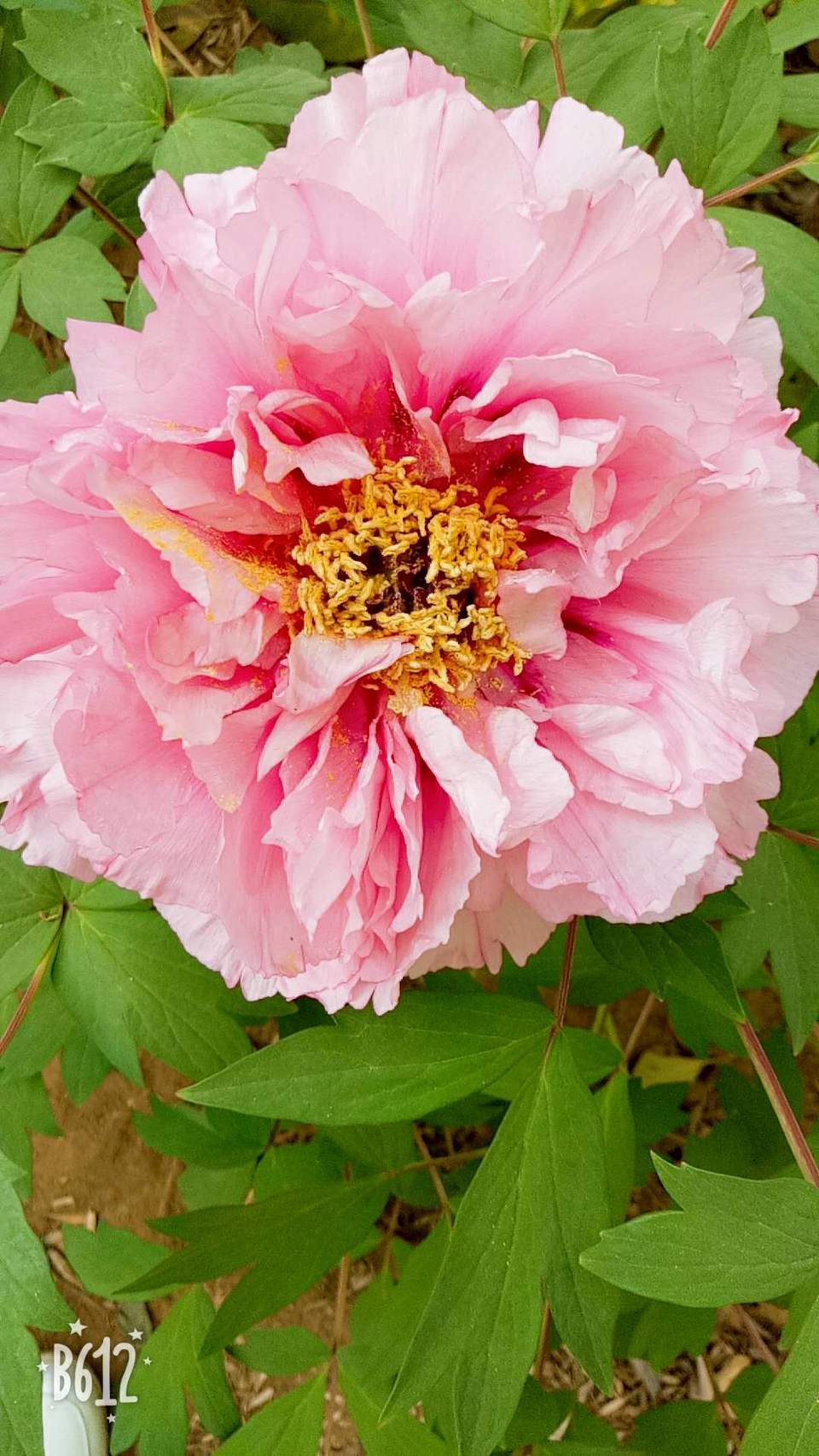 _lNmukximRCUIhFm70PQKrOs-4TellJXzPW_7Ksl9wA_9r348rMAx8WyT3DuBiG4