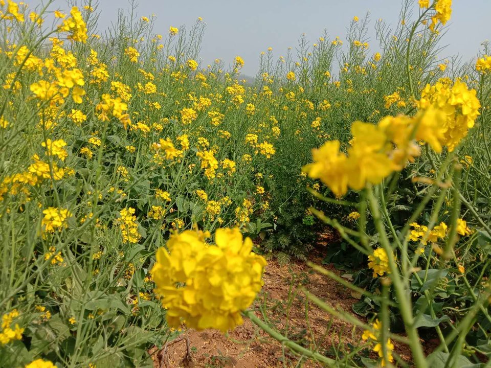 4u_tMnzgwmqvDMfNBpaeK7nGLxJmI3MoRDMfPSCVo-GViwTl0LyumwHJnfxuEdoa