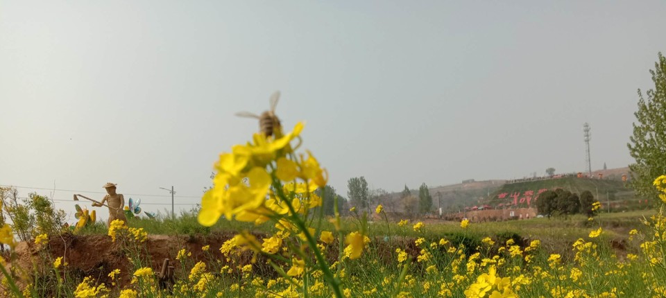 nyZP349nzw3YTsfYyLnXlsOHX37iTigTIE1I1256q2dXd4dga9-7TYXGzTFXQKHT