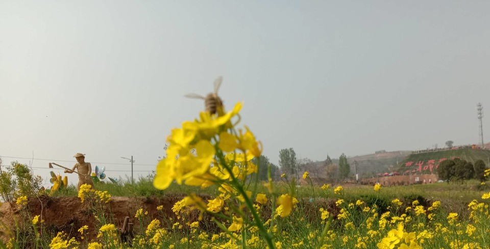 7IeTDrzTT2Hi6f1_LhDMQ7hti_CZNVf-mdchkX2y70pOY0N0MaGwd-AKoYvkXNVy