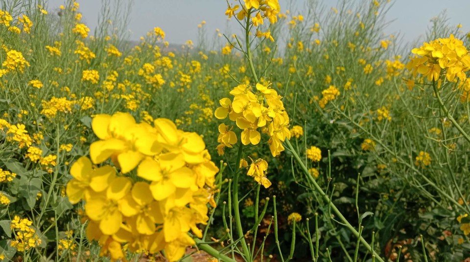 hc-TeT1EmSQzMRin8sTIwYkIuK5UfBzY7EjtvgvAuzmXY-RnhXpoDI8PfSt02Fqx