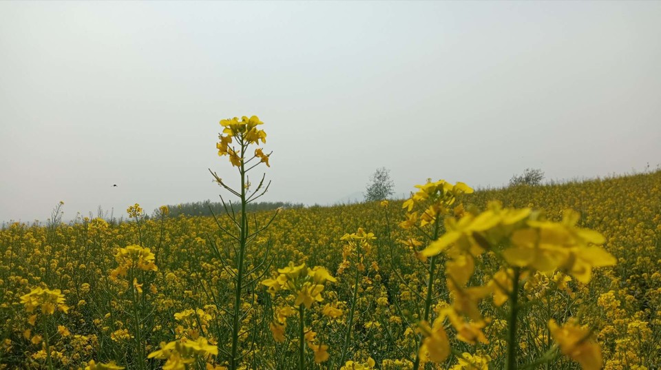 rjkZzvpcV03Q24bKOpFihP62WWq-TIk5mGDUCw8dE2HOqcpk7NqpfGy7m0yiHgJV