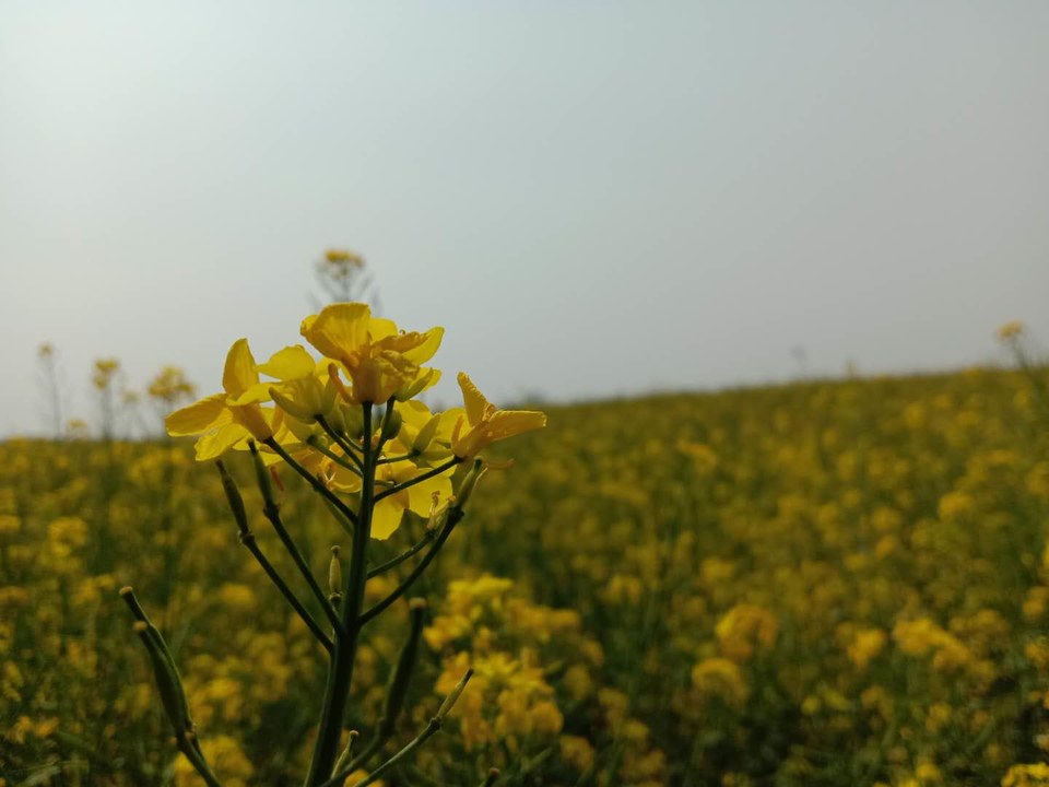 5-QLzY9zMbRMFtaya83ic5I7jiSVliFX1oKZpHc6H6dyZ5IXpp7Csh9gqY_IYP3Z