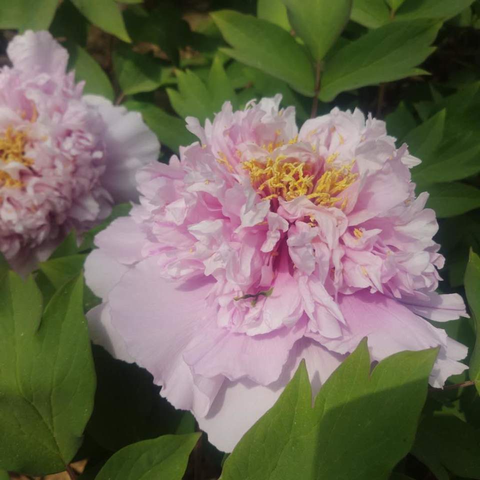 eIDff6TG4SaSBD5PvzDZB4lczaRhqiWuo8Fx0DNprWLegHikn3AMlEcbsldXhUUx