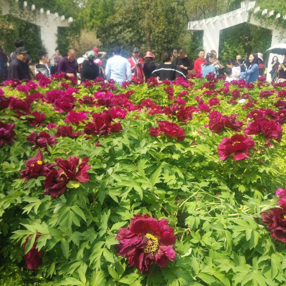 hNQ3OwscYL7i3GxPWC0MI4u4ztOjhughVP0eSVUqV0c14FN6RDmyDMuFIruVFZth