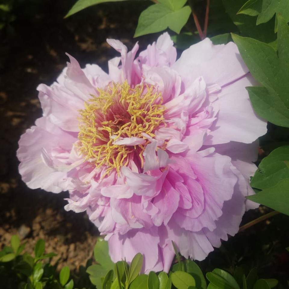 0JtqIqra5paM2fxlI9NiIlAYQ018DDybcz_-1Xuh3kaiJODpyPiSM8dapUP544-r