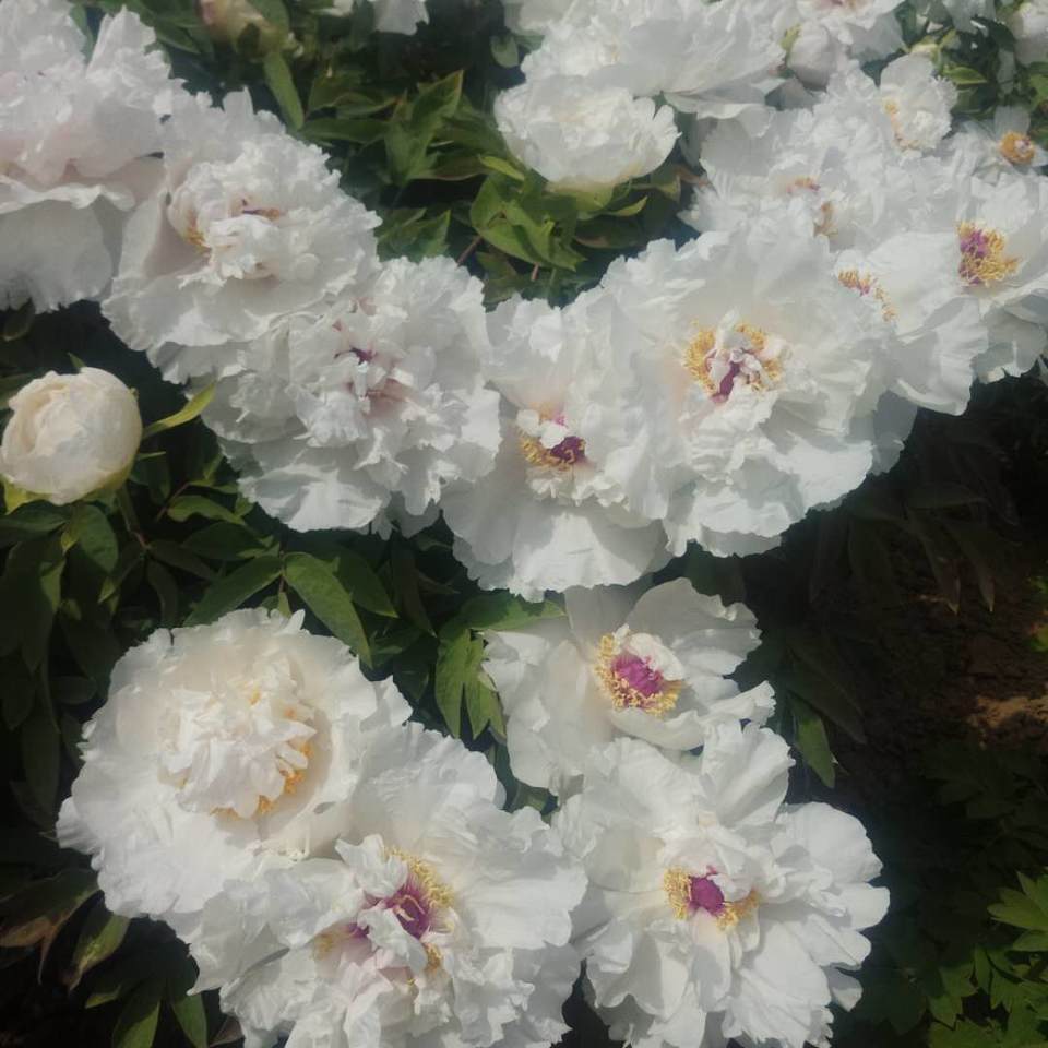 OJ4nSiq-YE0MyLpC2F35yBmETvR3oPZXyqgUXLrvQ-E_B1WrgOnCovdZ0wf82qNR