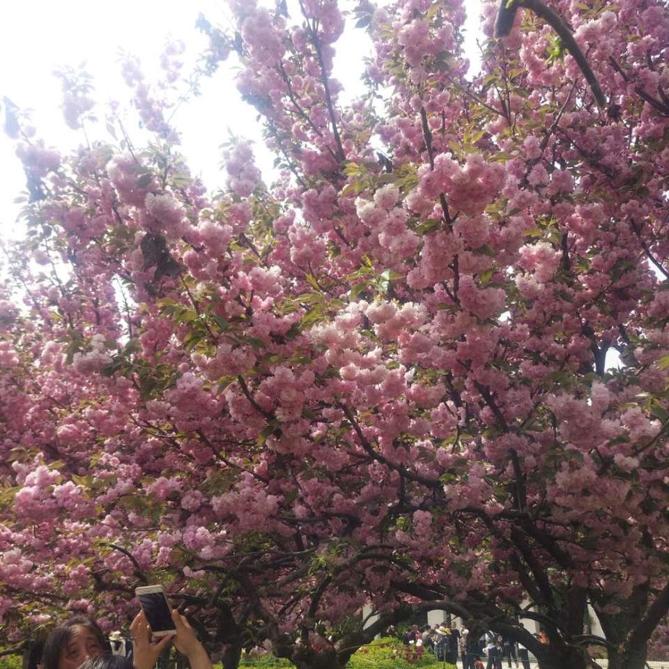 IvK1xezPT60g0phVfwgfQU8nVrBB5doCovVjaTxAiEEslsMw7X1-EPu80swaFF2M