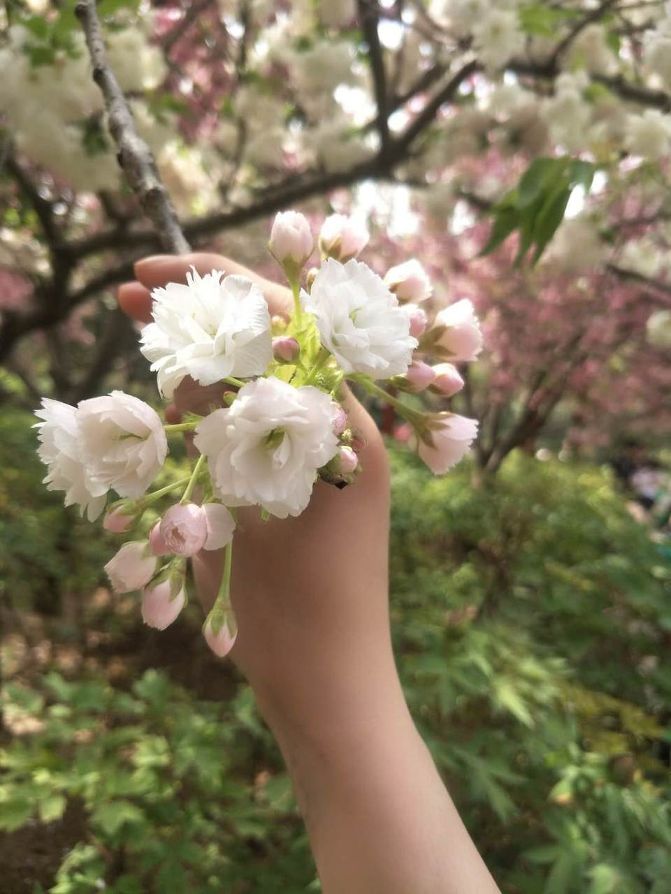 VPdZXPQzBOxrPTkkjV5i5SdfuVTupo86RaJv6XHVfgRBRKPNHOqMax00Z4s7vPKt