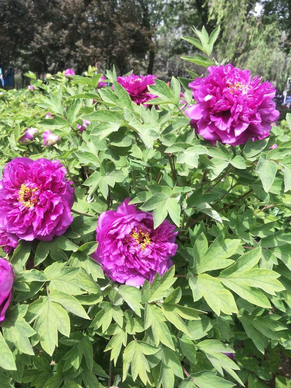 oXtxOUqxoyp025yP-zGQ94_H9Wln8y6Pv3AKXMddki8OB9Aaj36GxI5ErVm0W4OA