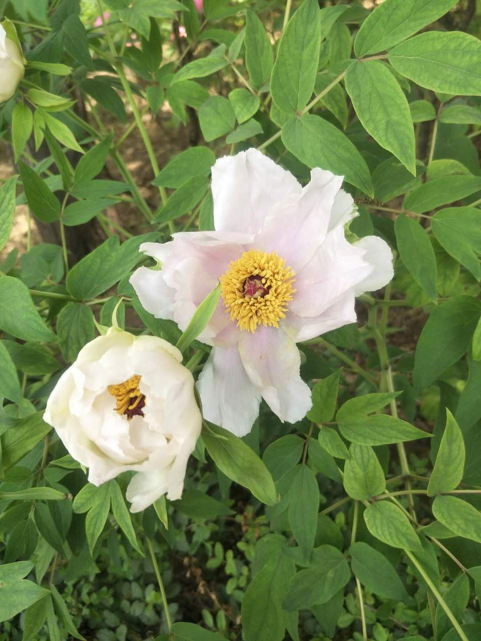 aeDPHrTgEPKZnlIqj6KHFvge23BK5b552U_kPjTqmG8CKcvU_WWo7BSe8lHfdOFl