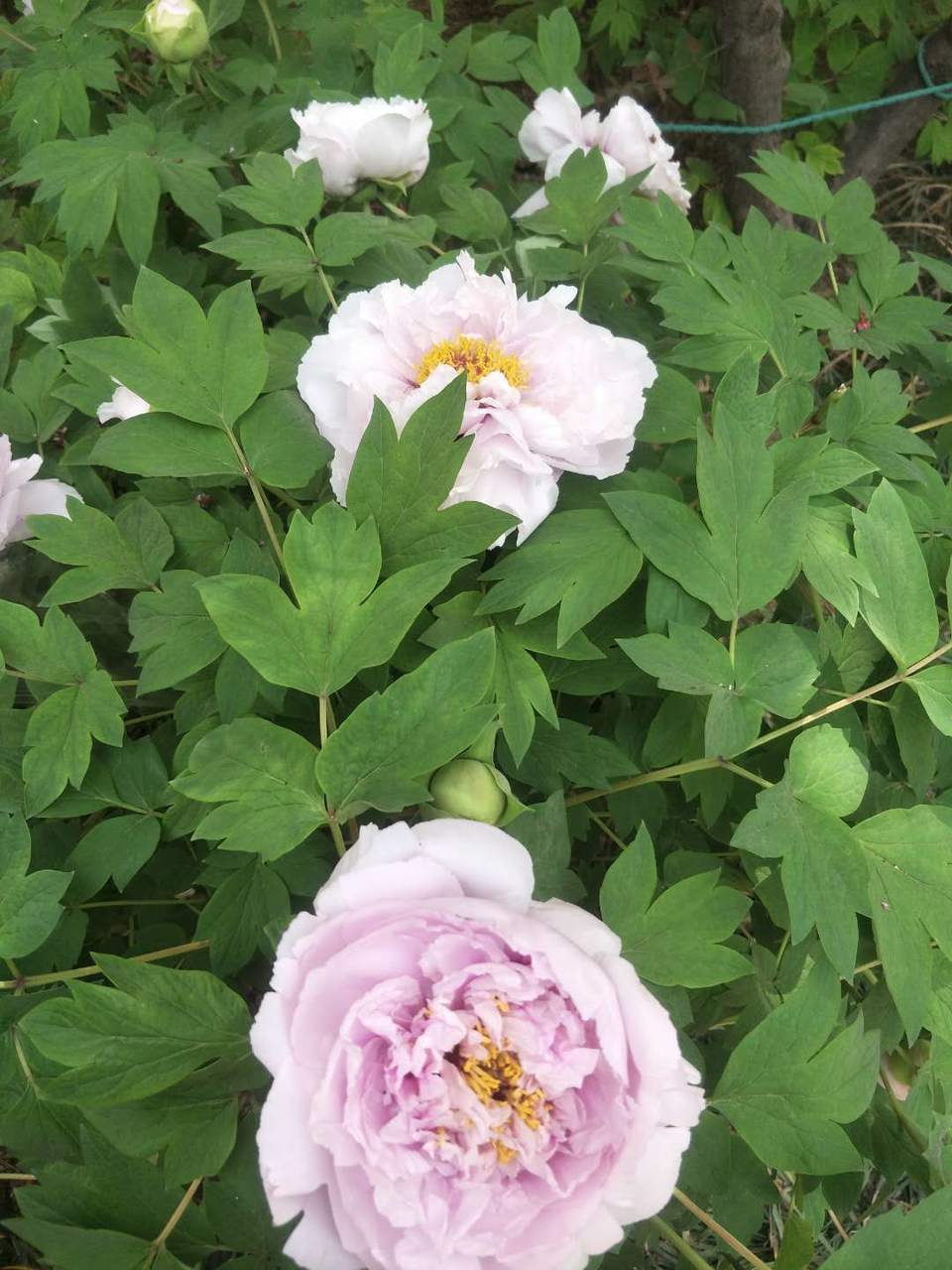 zCmjXpQfx_z0IHrn_Tr2Xl6ZK9xMNnEPBvvBSjxs2FtKFXrncQKvkqMtTYkqgwKj