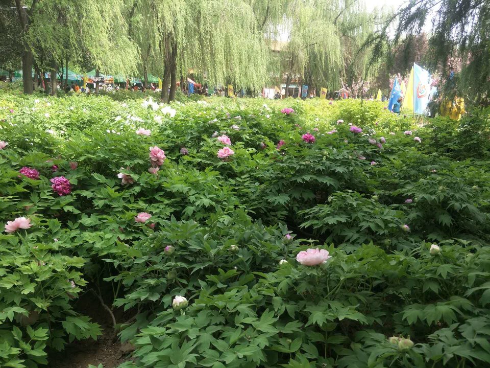 DP_AVsNJLPIpb6siBX-looTOebASlXm9rINHUo5yaK-fLjr9Auh3SngTBE-MgrZx