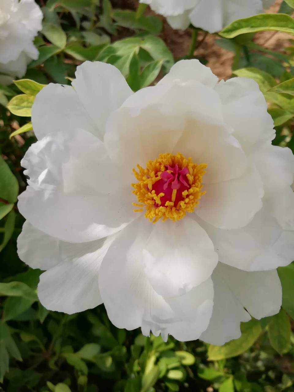 4PcojBnCC_55INs4PHOjzASfPSyqBHmQdYfM3Aw9NA_XxNRD6mvhR6hKFa0opDV6