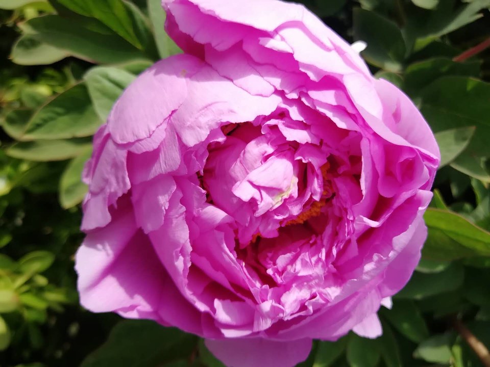 L3rRu1CkEDem94zYxPFbOZvIbgLL1VQXewZYL2IHqJD8VDXTC2YD_4HdimGXaxzI