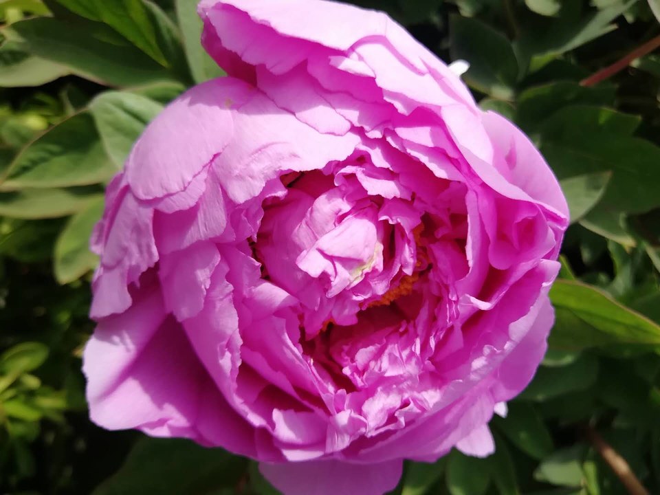 9AqYH3guGqNoi2KnmseBzc5XT8E2hwA9w2WPYHshF64GKZ61qupv5C2q_GwJ8ylu