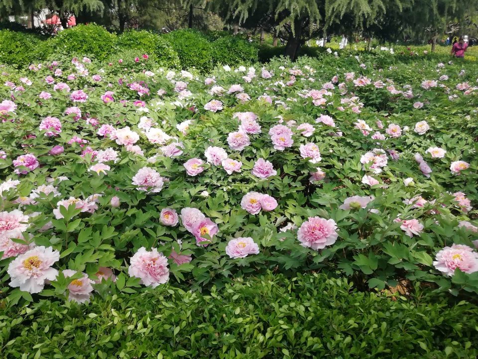 aBnzGOjoJdhqRtf64GC78jEsWwqXYZEeZvuR7LRQ260rGoMxGx6ZWeoCUh8wA8_F