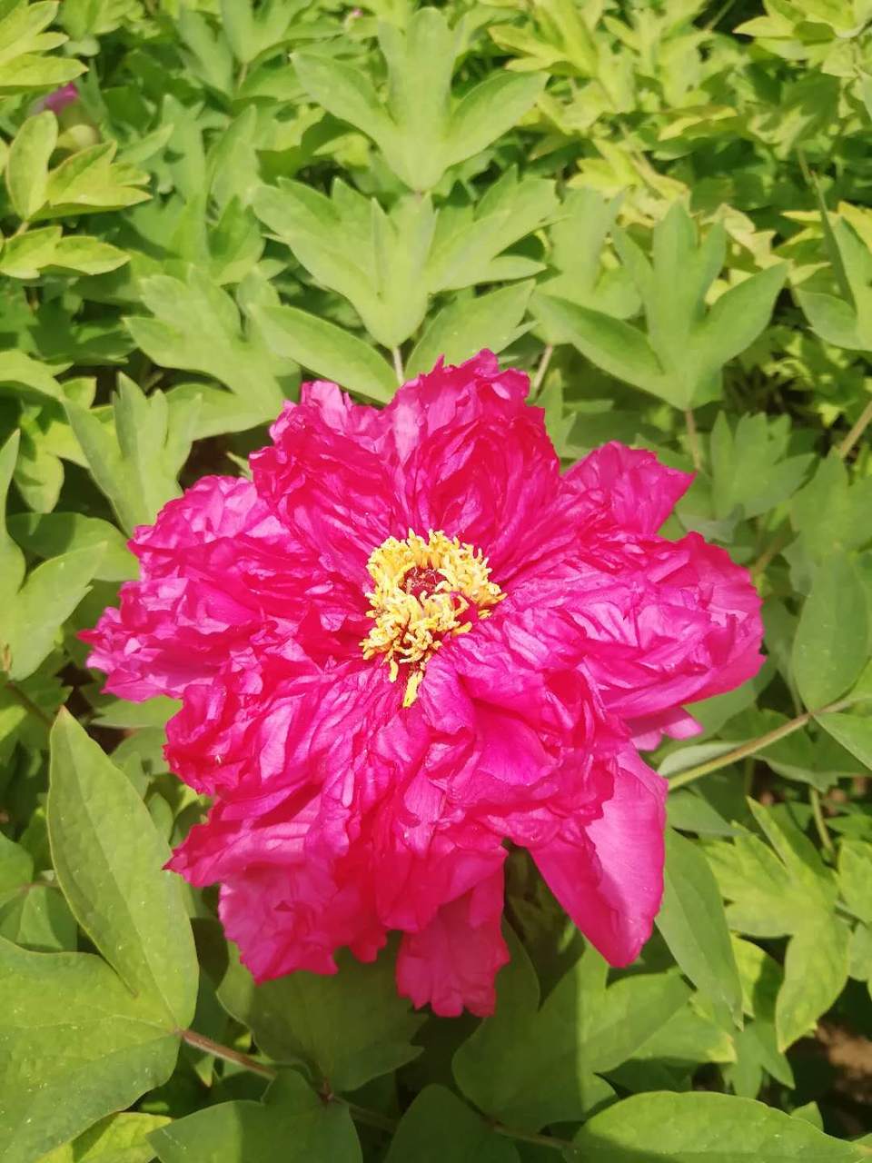 ppLJpB0oJBJS_TUEzyKmTGpOUJx-hLtH_DVZBPsX5Tsuc-a5cIJJmqQvThnQCw-S