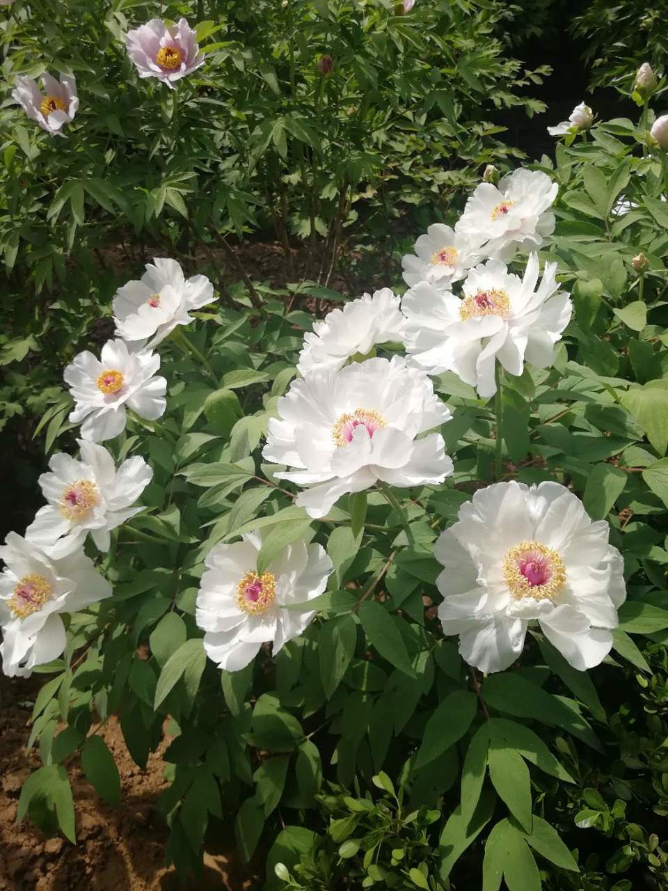 BvRKVFPunQciax8EiM4vAQMl877zhSYEOb6g8AtPpNVfGbkUGdGNRPBAEkzAe1S0