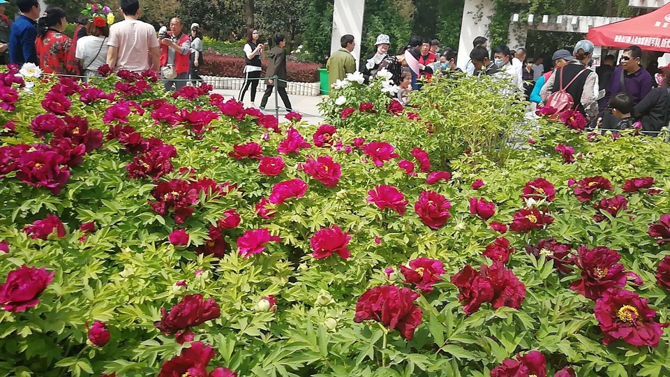 WKwxCNIqmQ8NmuCTqG_uba-xmc2Dda5l9Lmp70CEOlnS2kP8GVRwh4xbwZt853mP