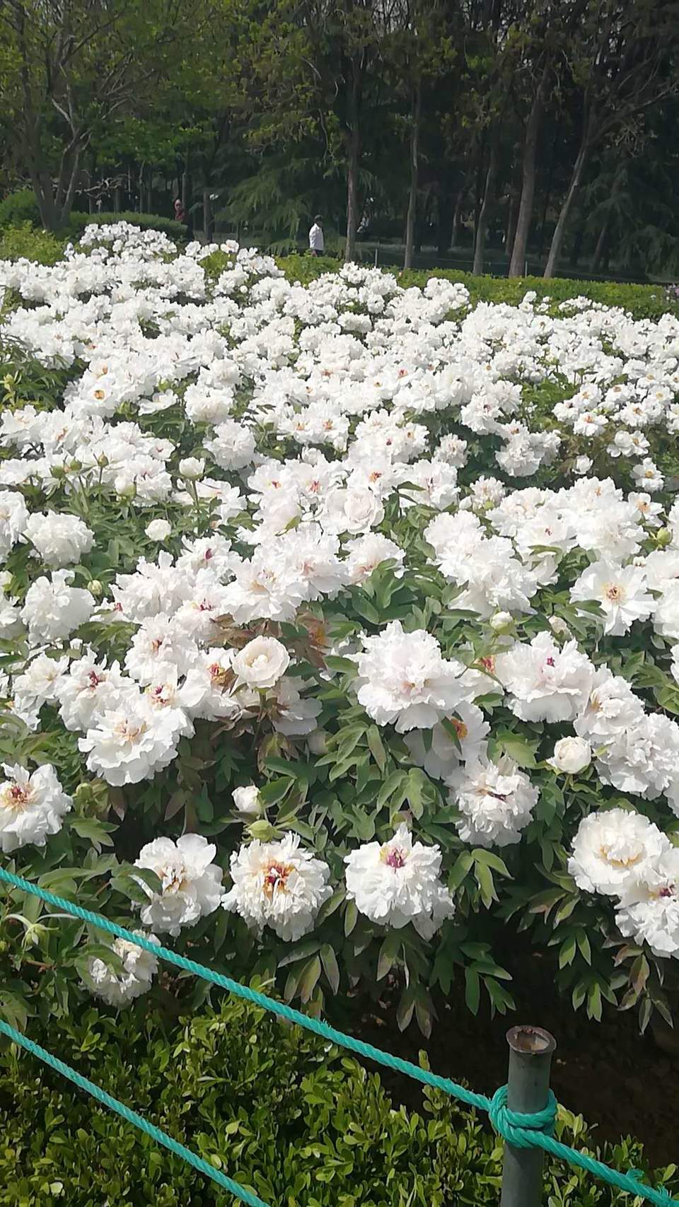 isyMBmJgkgG85i21ZgKgno362ABl6WyE--nhWomZ6bizG5iEQc2pLB1WrmsXNSMO