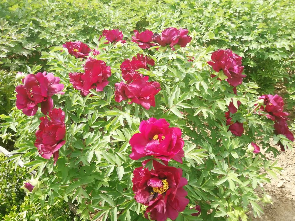 grSSceCO7Ka6j19TZfR2J43WCxTkXO2mN6Y5OG9GiIlwUfUbgfIHQ0XeQMaFHyfk