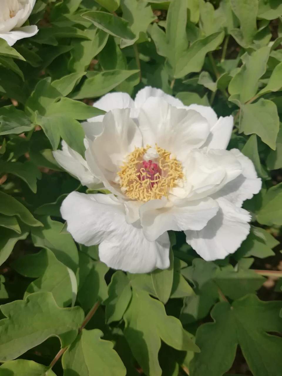 07VDK2NRR3LvI4wJLQSHdpFrlNbPlUt8zJZS6F_FPbErz52xxxax-CXpsypfQd7g