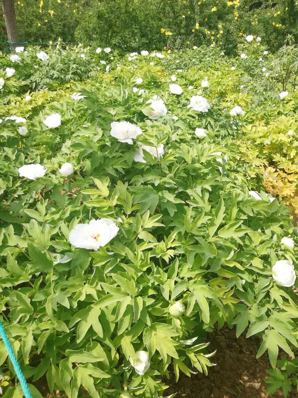 Rlo8qKAFcCEiq2UaaI5czw_jhA9NjqyUWml3cAHT_aKJFafeLMq5O3G1MQVHaGJL