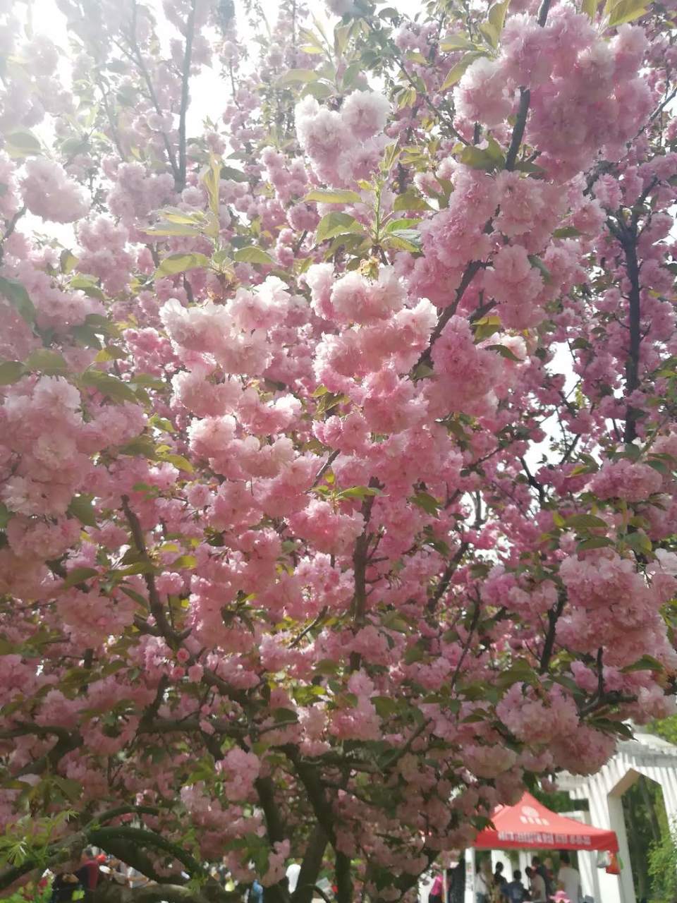 Yo5-z62Q_LQfnpMDtFfPSpidxSsTS4GdgJVmuhubR9VsZHUbqvnLAx_YhH3b_HaQ