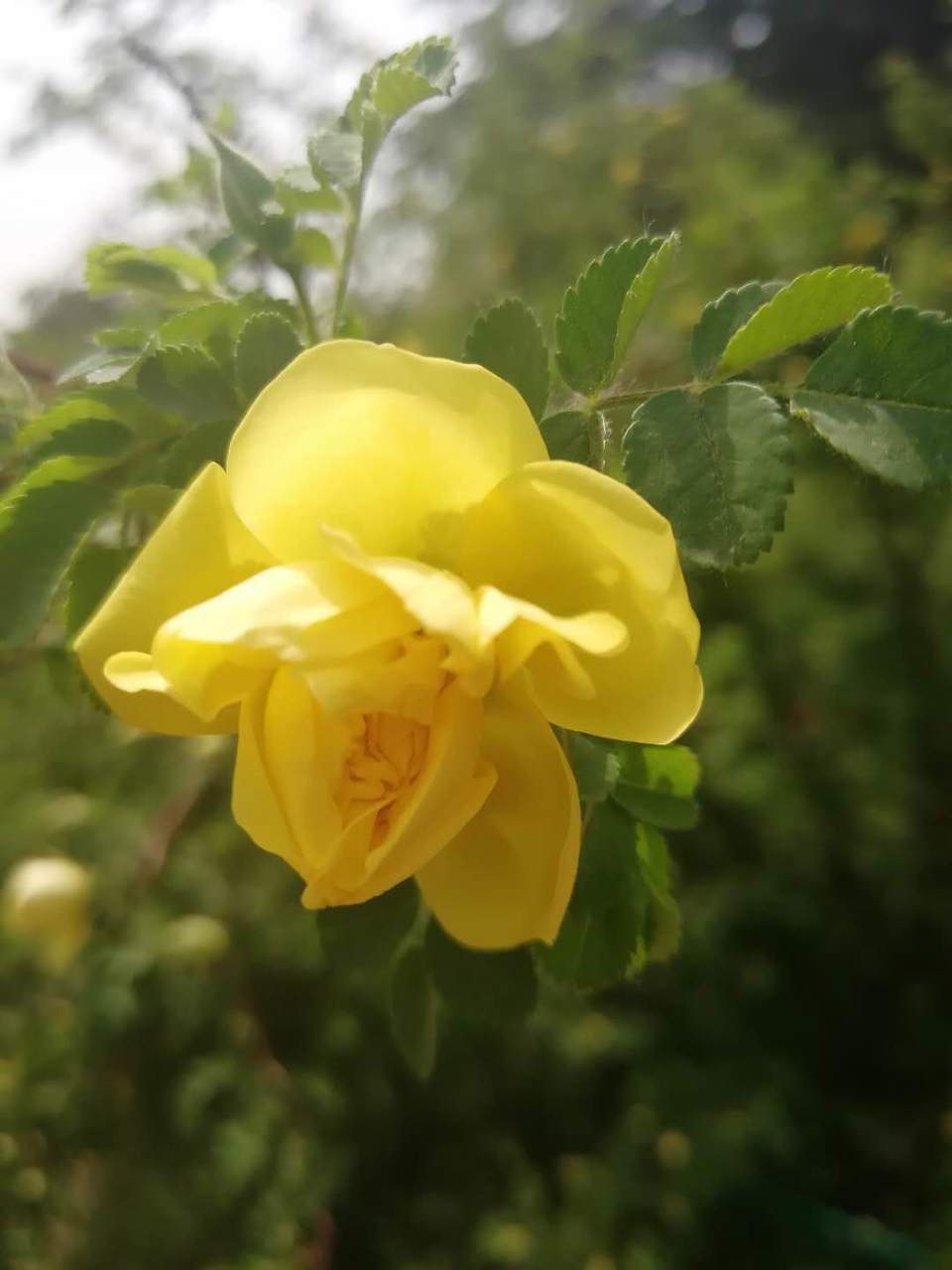 OJPllxP2yCwtMgdLm0MsRta_f7i7novbBI53ohxfoAUHj2dhKzzBqdz83Btme3ss