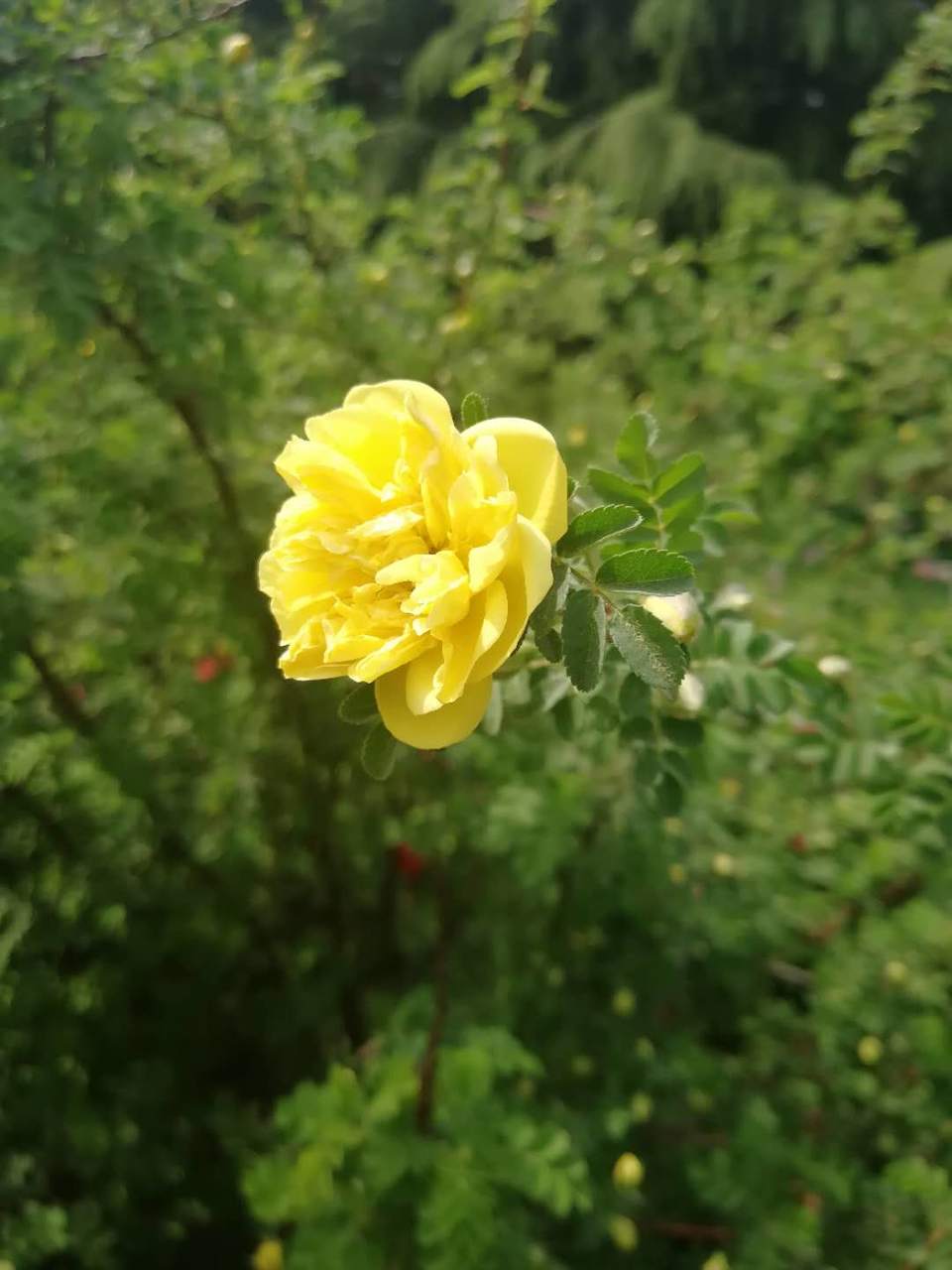 lJg2KKWCAe-RW1kPvD3a_i9q1_qR92ULpQXtfrpxncvKJgnhzZor_PaLVAzzQ3Nc