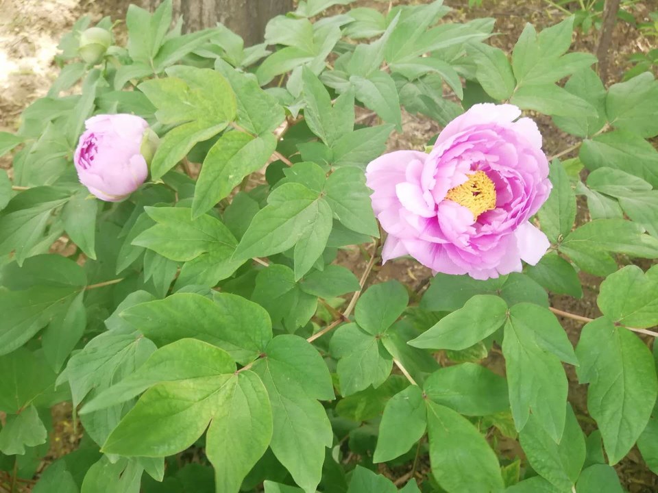 NKcHS2jeuevyN-QfJmKIoXXttPrOB4fa7m2v1M11z_hm-WFM56nAtYAyvd0QT4qO