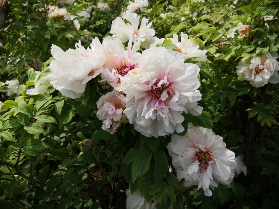 0UrEyYI_K5rKspP8tVN9iICu_WXdhNiP6xjMaV54wWyfVDHhpe3PXgCujeQzY4Gq