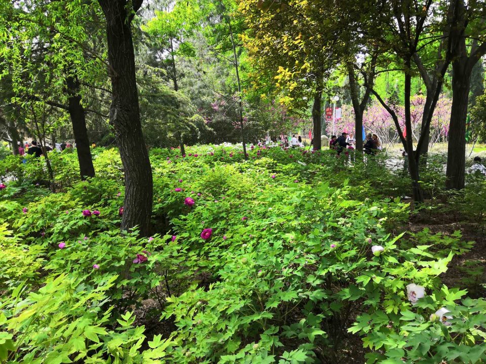 mKk4c3th6iakmDOubJxL0SKlcovcfnRwlh2bxnMWmoURLJgNsyxMqckyAZrSlixI