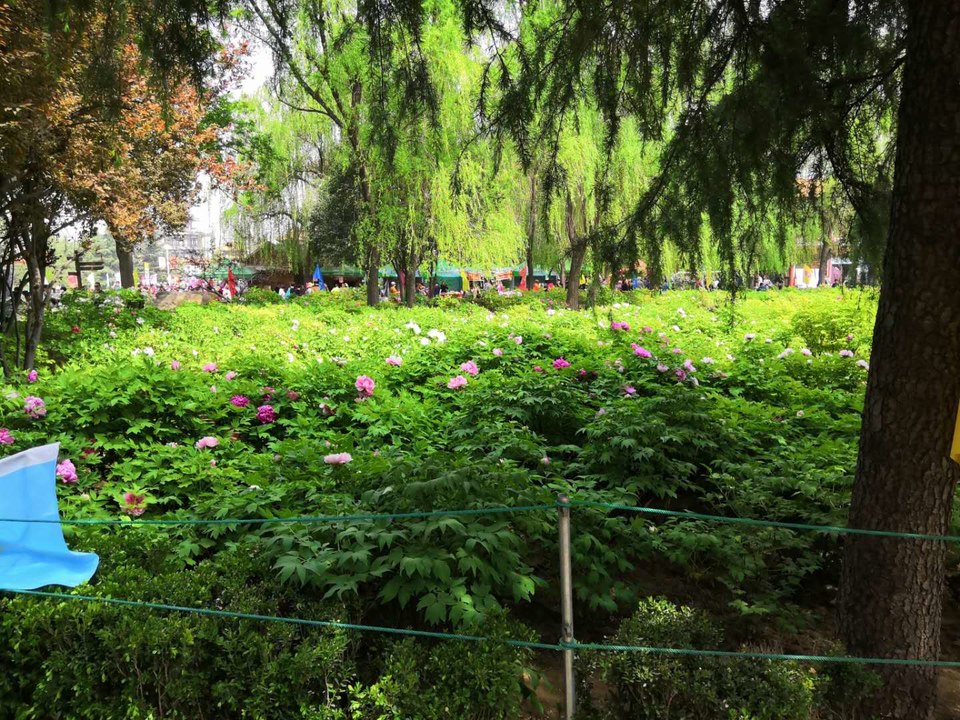 tIRkjprE9GBF2nyMdWS3Ts4gWzfMwRI8UleIJJWKcK5EAVR8gCYUzI_pufErFagK