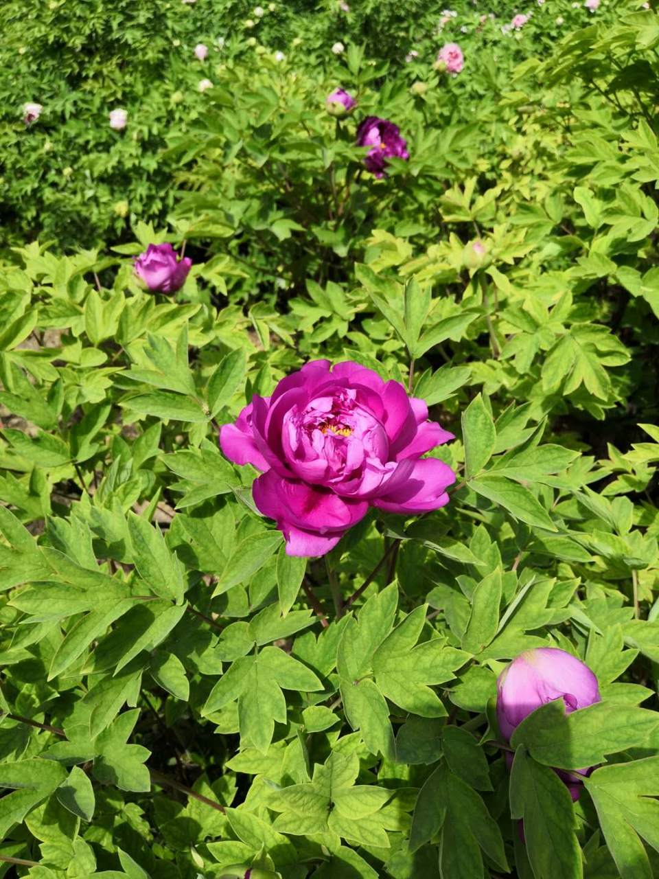 xmTPi7VjuqLjqNcevmvWf49990loXlhnw-IUhB5h7vNa4cs0NwPX2zCtxkBzYa6k