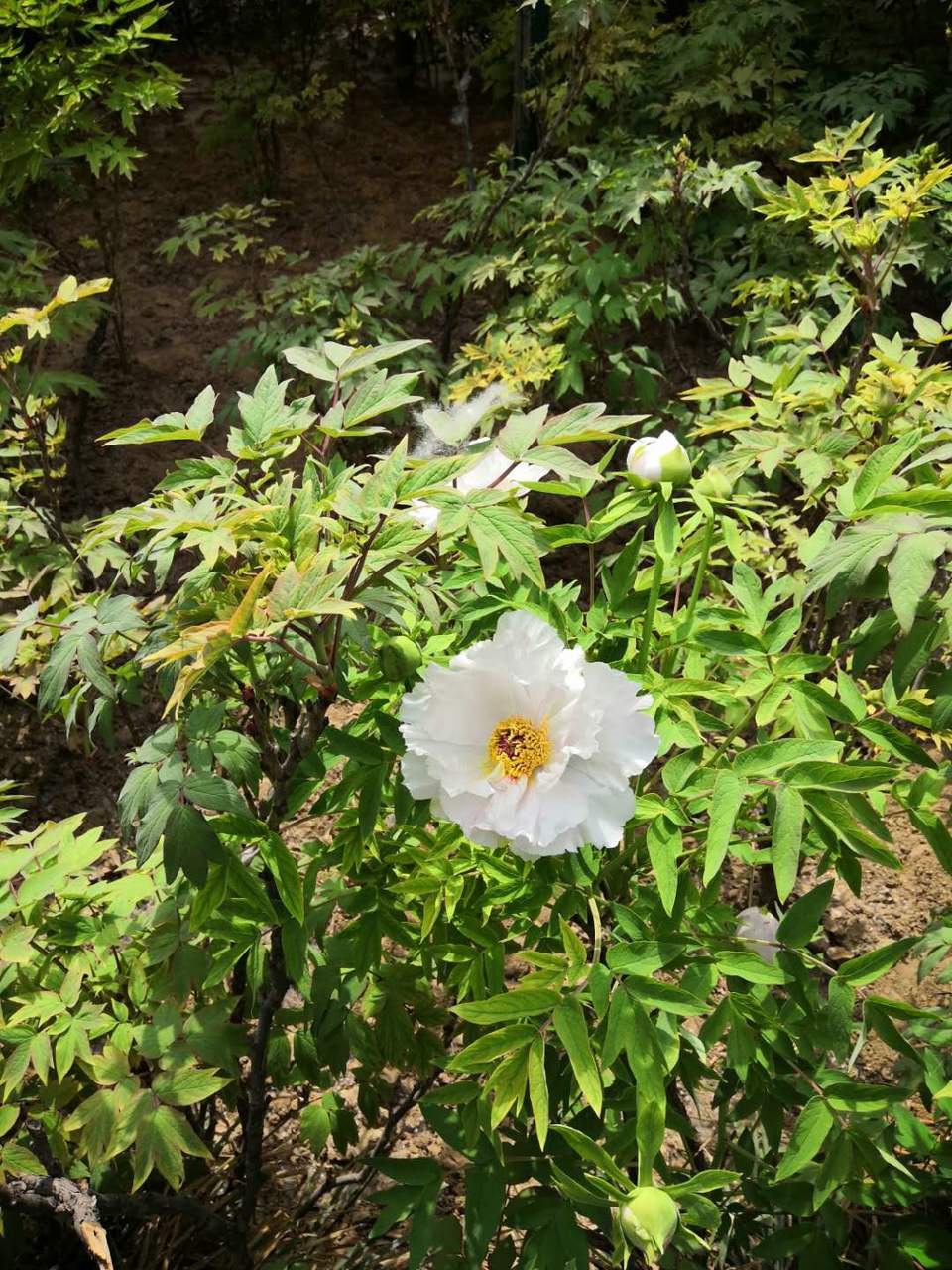 RB0Be0hXVpd-7070RE7HIq_GHvzv2lqtkCJIYtrJQvHCGrA2jXWaHanmJRX785pG