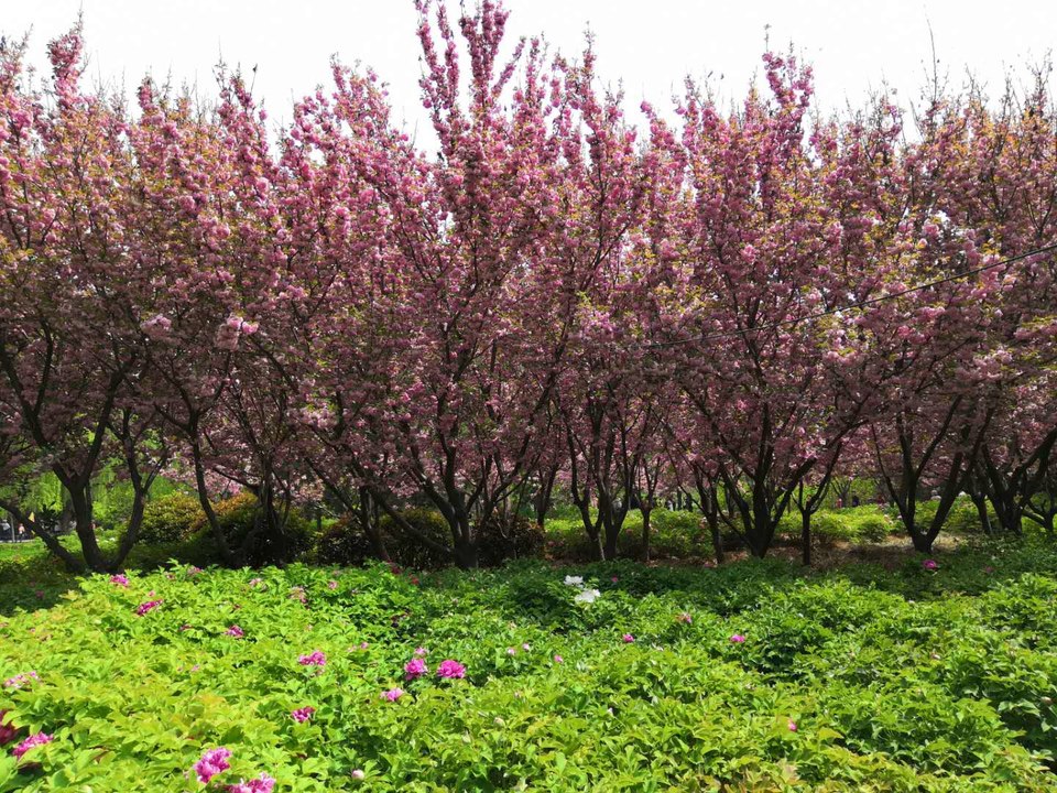 kpjy3-UpoEEyNDzGjzYu_65FjGlLek4y7DS2ydeG1pGUUBq8haQ6M0E0ckrj55y8