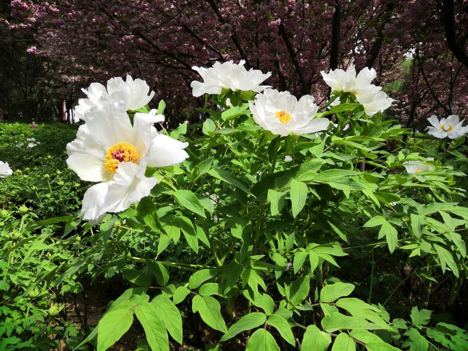 1WNOYheuAr1OQ6hu2xirfBKECokz4p653WRSmeASZP12C0Ma_mMZy5-TkuqxX3oc