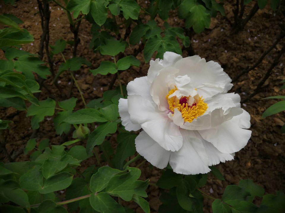 ljzOMhPpUyFj1Bc2TKFRSRTLNEXXVEb2ATJb9IcwGqya5ytdqOiJ868eAsQqQ36x