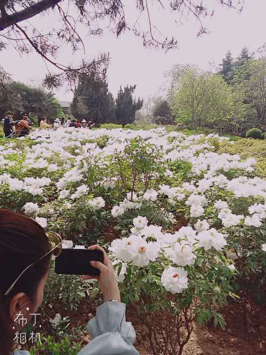 pWLxOyOxBHc8wFU_ZnwYnFze68JSgo1JdXaUEHG1RWKqkxuNDRA1NSrkyla4pa48