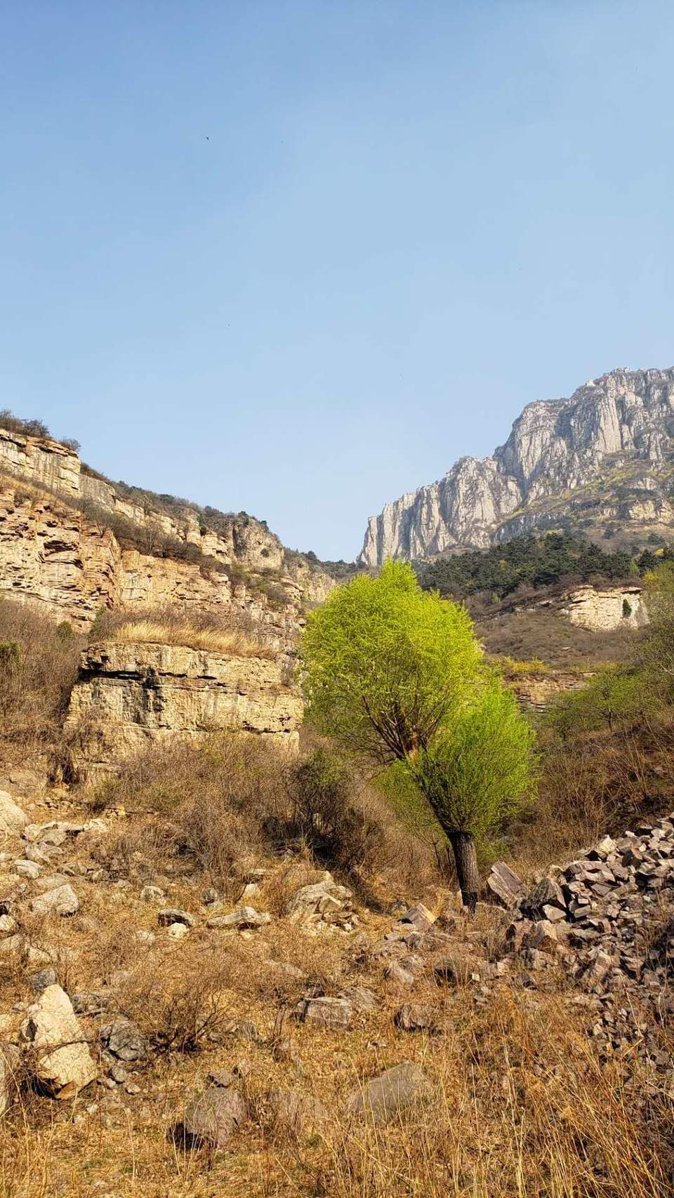 UYbeovOWzh4ZIxReFO7CCvPIVtreajh6oUOXZS3iRRtITCHZDqncLsQdfkpF9O7D