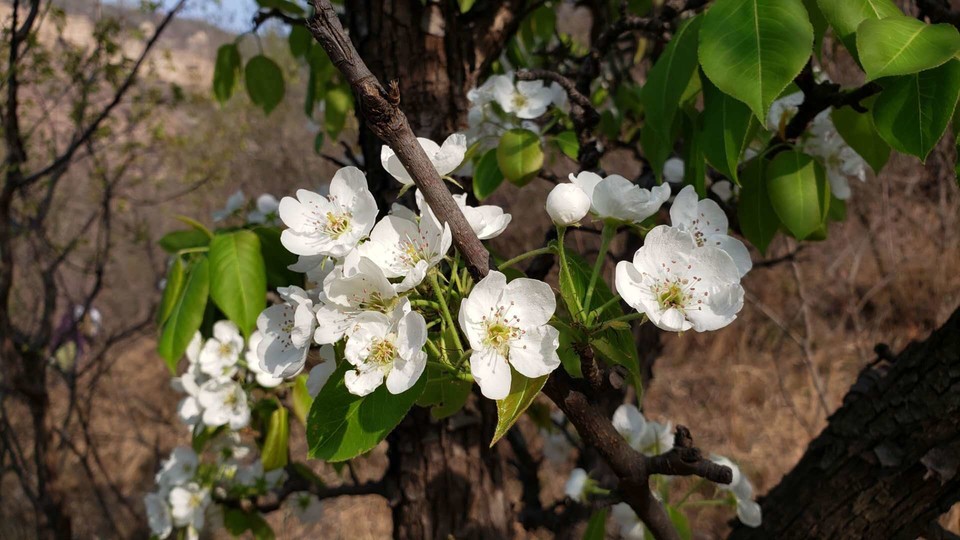 2c8ztpk-l48VYWXOILQmTmeyj4goleUTEQAPZEjRFMkKfA8dMcSkQx9R7qOQskkb