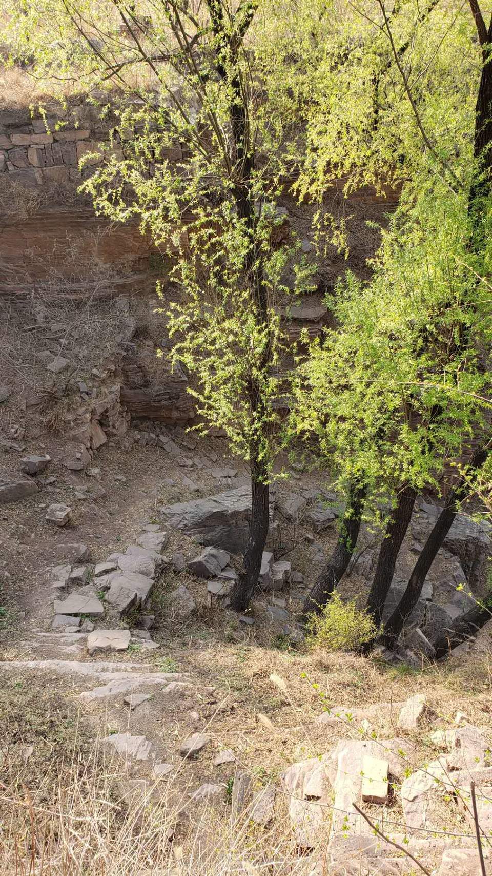 ZzZQ-cjf4RT7yPj6jRoYBj2BB7Ageb2ndmNj-3RMmc6npOipLHHPhaqf0UE1e7Z4